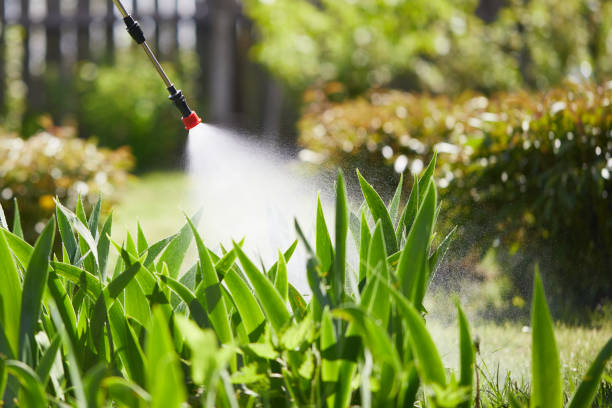 24/7 Emergency Ant Control experts in Athens, OH