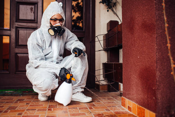 Reliable Ant Control contractor in Athens, OH by Show Me Pest Control